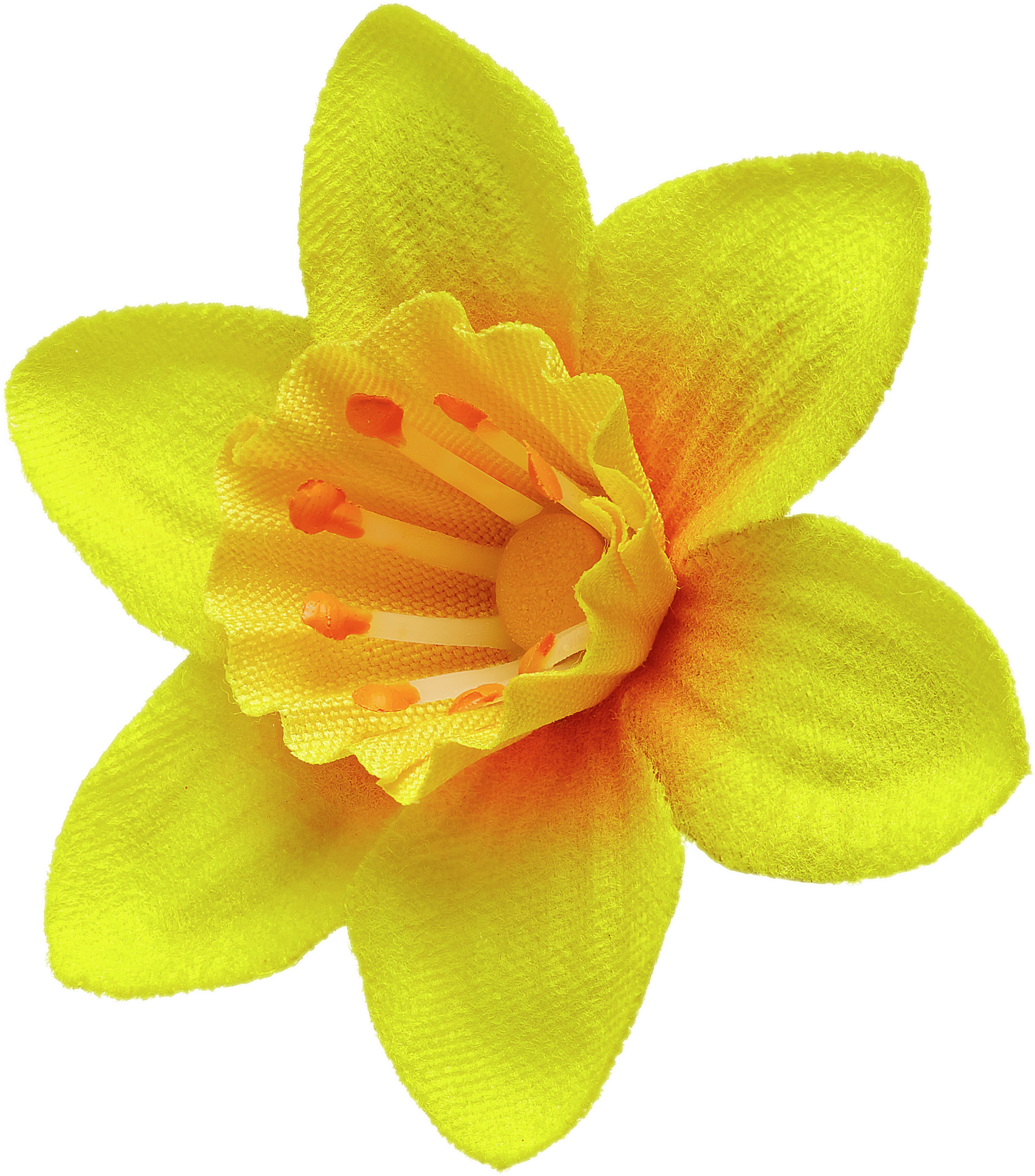 Daffodil Pin - Daffodil Png (3000x3000)
