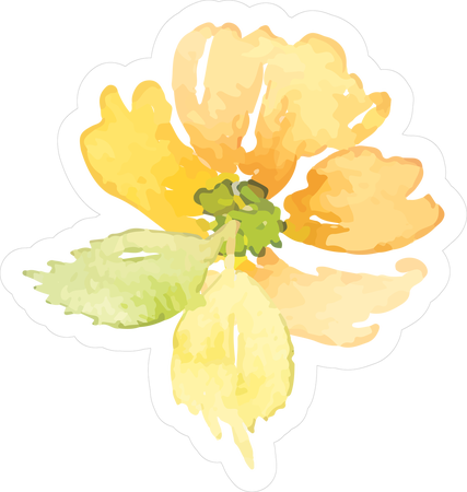 Image - Zinnia (427x450)