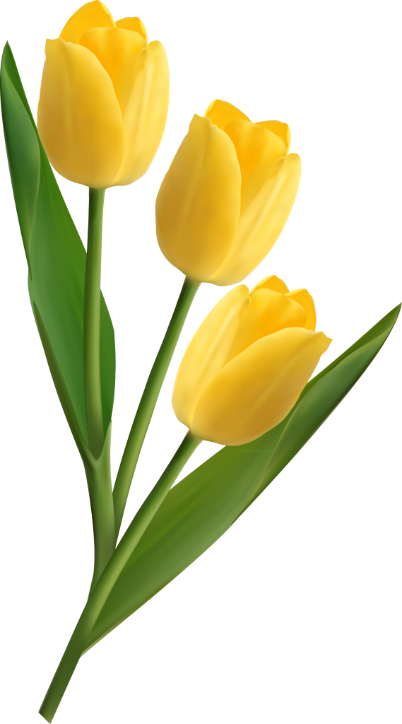 Easter Flower Orders - Vector Graphics (569x1024)