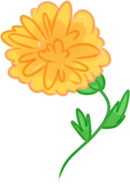 Flower Flowers Tumblr Yellowflower Yellow Ftestickers - Marigold Drawing Png (500x700)