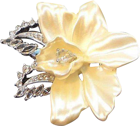 Nolan Miller Dimensional Creamy Orchid Flower Rhinestone - Artificial Flower (481x481)