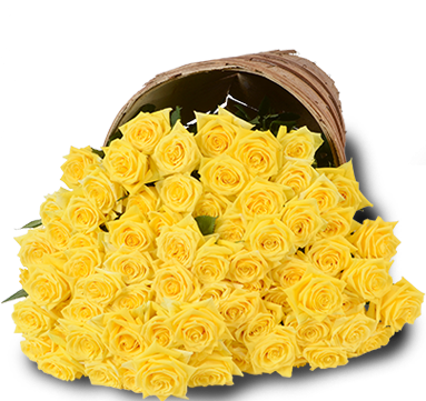 Yellow Roses - Bunch Of 100 Yellow Roses (382x382)