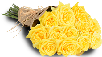 Yellow Roses - Garden Roses (382x382)