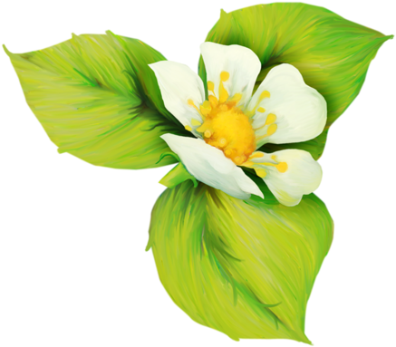 Gifs Et Tubes Fleurs - Flower (500x456)