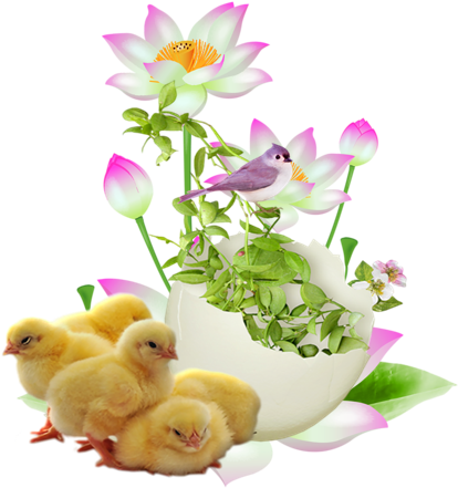 Tubes De Pâques Pour Vos Créations - Tubes Pour Crea Pâques (490x500)