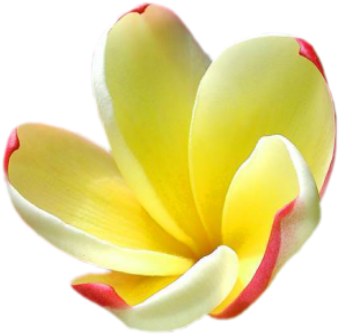 482e36c6 - Encouragement (550x400)