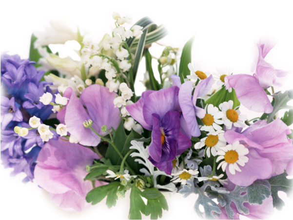 Chien Chic Professional Floral Perfume - Spray (600x506)