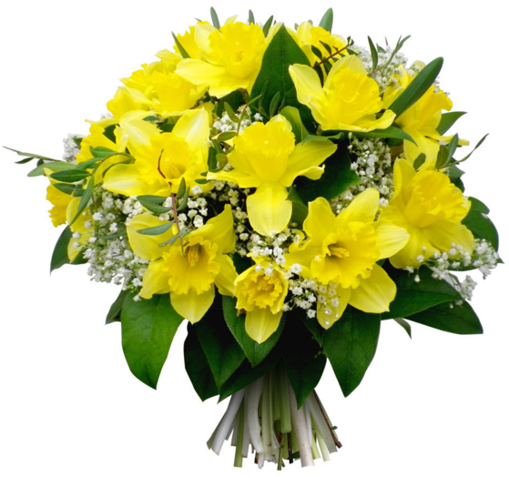 Tube Bouquet De Jonquilles - Bouquet Jonquille Et Rose Blanche (600x600)