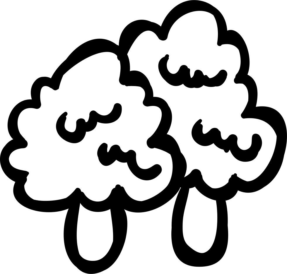 Trees Outline Comments - Portable Network Graphics (980x936)