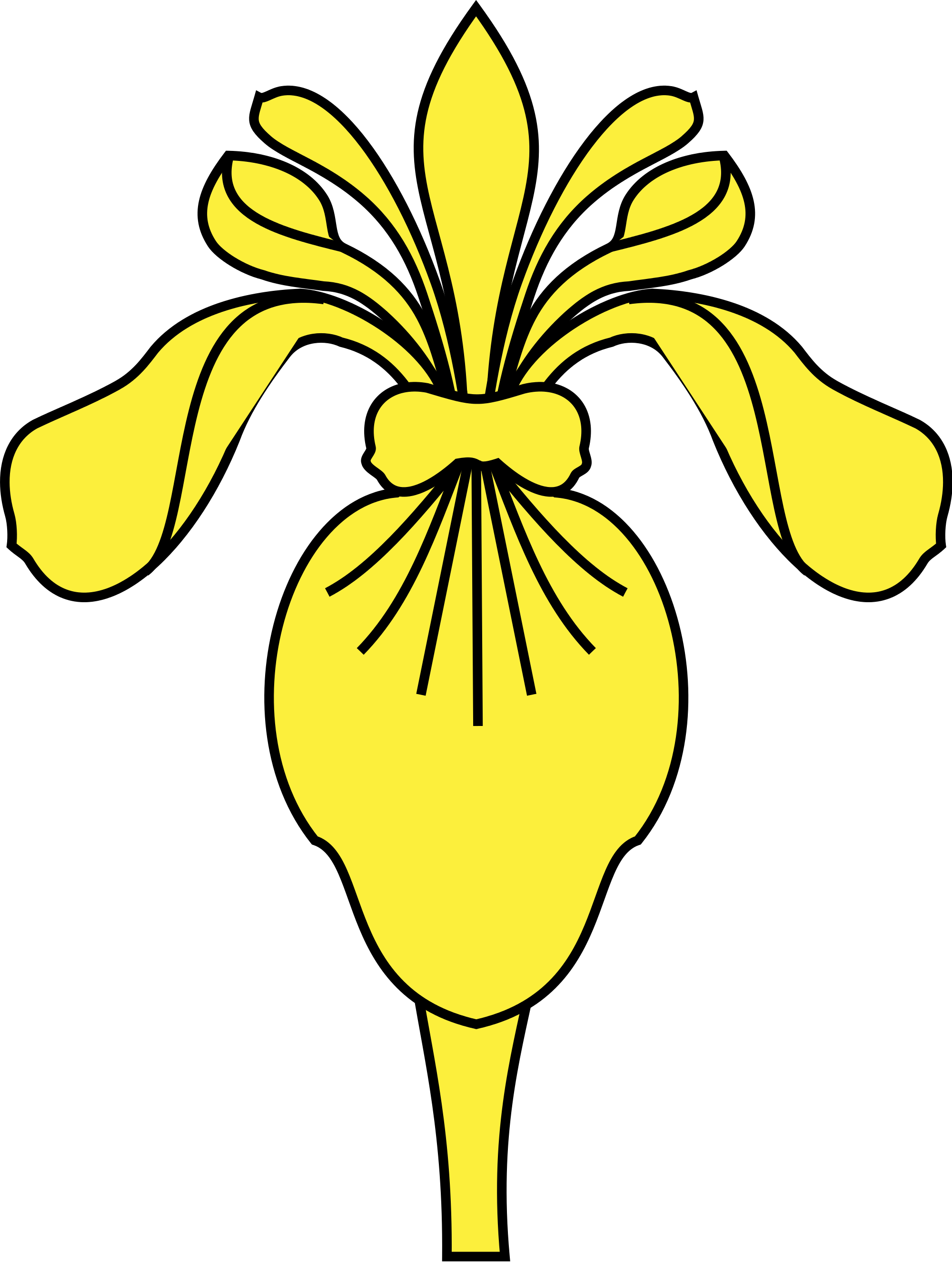 Open - Yellow Iris (2000x2651)