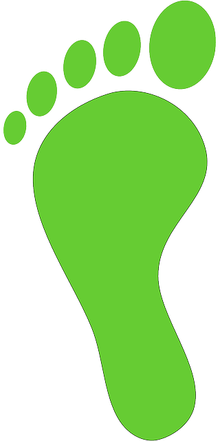 Footprint, Toes, Foot, Silhouette, Green, Man, Human - Huella De Pie Verde (320x640)