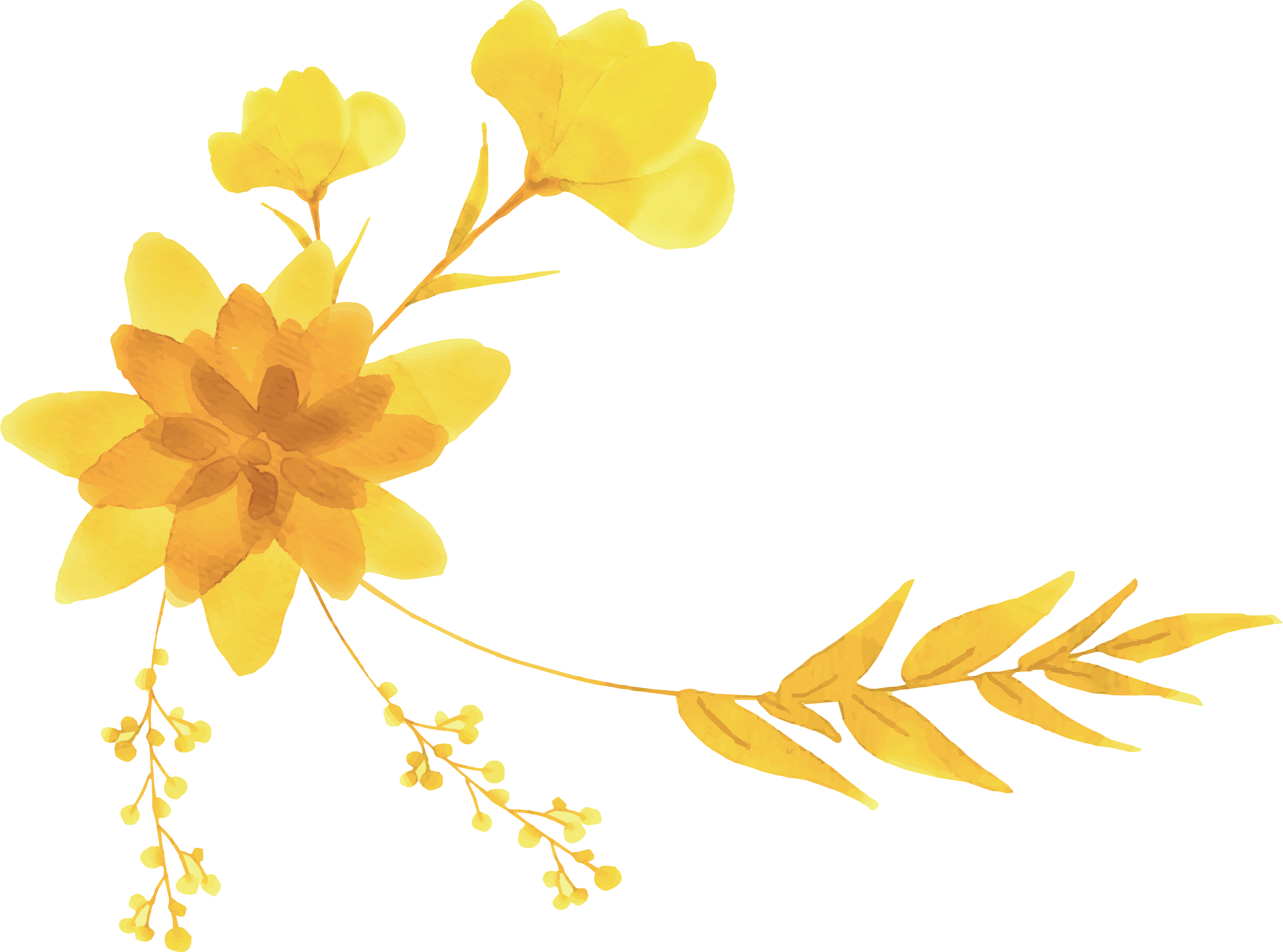 Yellow Flower Designer - Yellow (3505x2601)