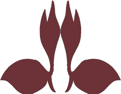 Ahli Nutrisi Menyarankan Untuk Menjaga Tambahan Gula - Gerakan Pramuka Indonesia (400x312)