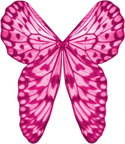 Wings Pink By Clipartcotttage - Clip Art (433x500)