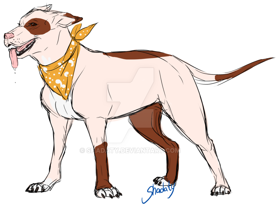 Pitbull Lola By Shadaty - Bull And Terrier (1024x734)