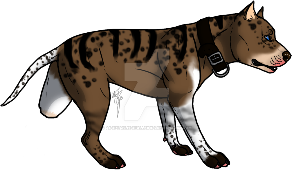 Pitbull Auction By Adoptablesofallkinds - Jaguar (1024x596)