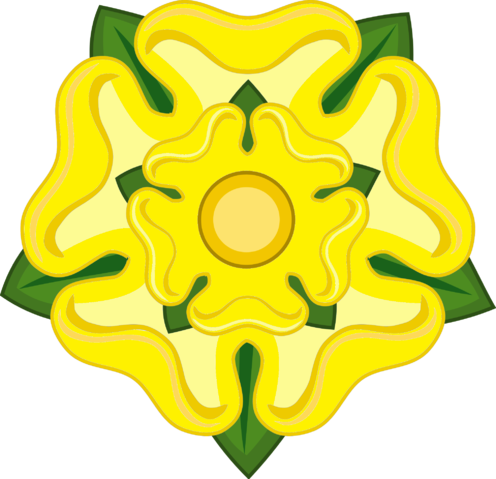 Yellow Rose Of Texas - Richard The 3rd Rose (496x479)