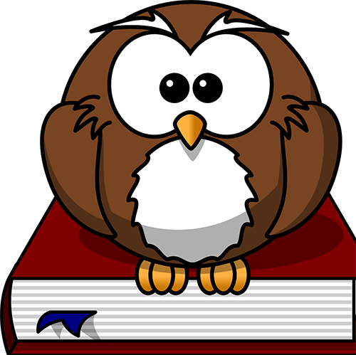 6 Copyright Considerations Before You Pick Up The Phone - Cartoon Owl Shower Curtain (500x499)