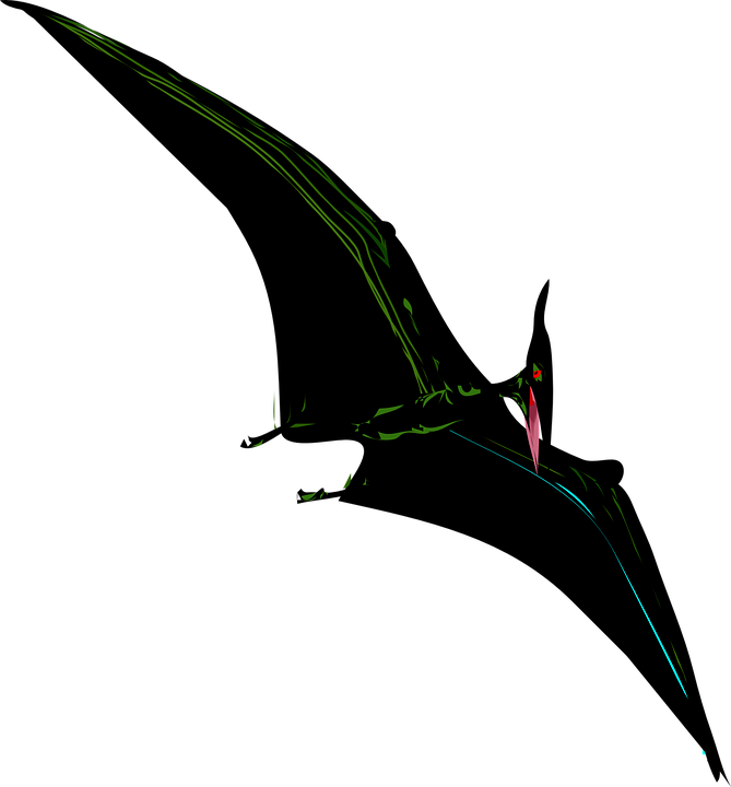 Dinosaurs Clipart Bird - Coloring Books Jurassic World: Creative Coloring Animals (669x720)