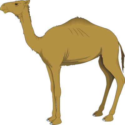 Camel Free To Use Clipart - Camel Clip Art (400x401)