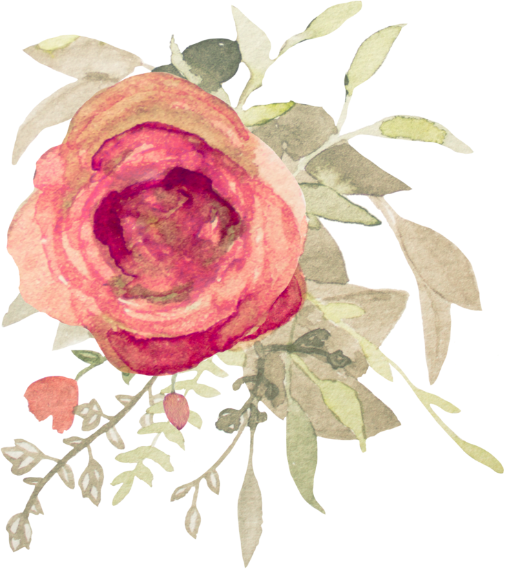 11 - Garden Roses (800x833)