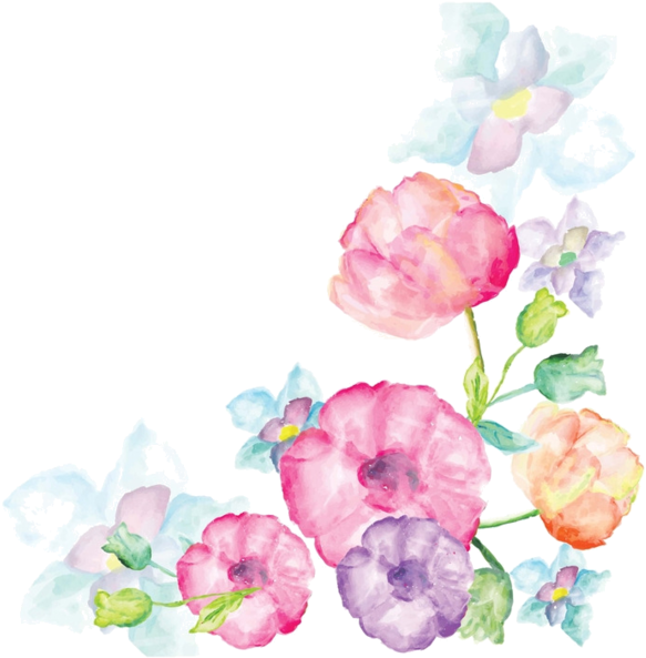 Flower Watercolor White Background (600x744)