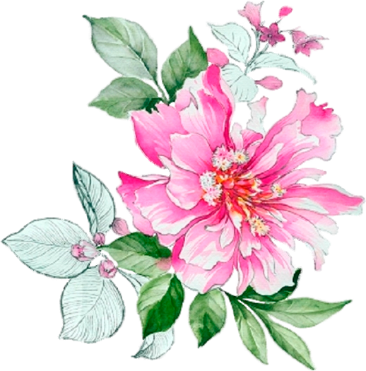 Flower Prints - Watercolor Peony Flower Design Chinese New Year (518x525)