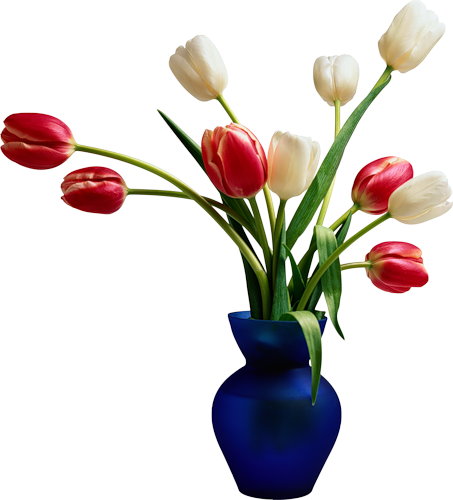 Flowers In Vase White And Red Colour Tulips With Leaves - Beautiful Home On A Budget (453x500)
