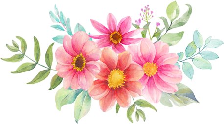 Bullet Journal, Flower Power, Decoupage, Colors - Zinnia Watercolor (500x297)