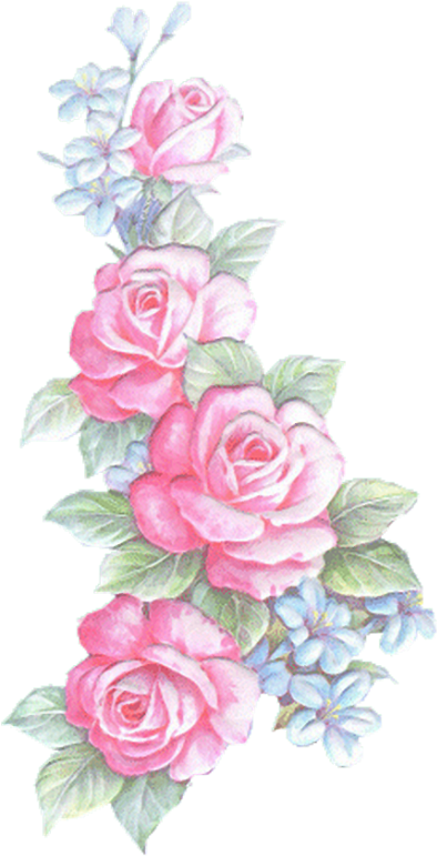 Rosas 397×800 Pixels - Desenhos De Rosas Rosas (397x800)