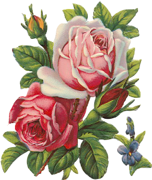 Les Roses De Provence (400x400)