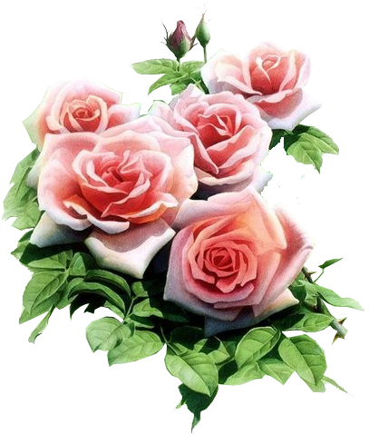 611 - Beddinginn Adorable Pink Rose Print Square Throw Pillow (406x496)