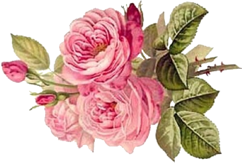 238 - Paul De Longpre (500x336)