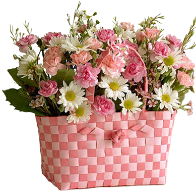 Pequenos Grandes Pensante - Vasos De Flores Png (500x500)
