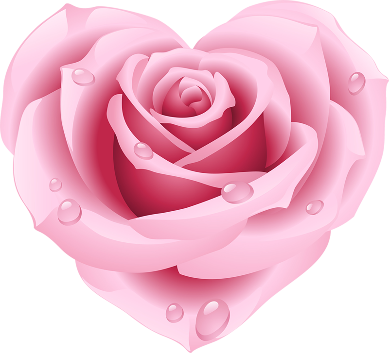 Pink Rose - Rose Heart Clipart (800x727)