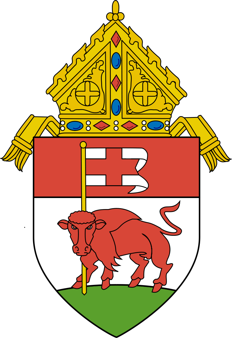 Roman Catholic Diocese Of Buffalo - Archdiocese Of Caceres Logo (800x1164)