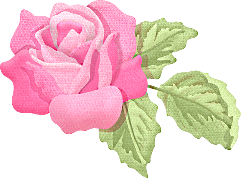 Romance Roses Collection - Shabby Chic Roses Drawings (800x591)