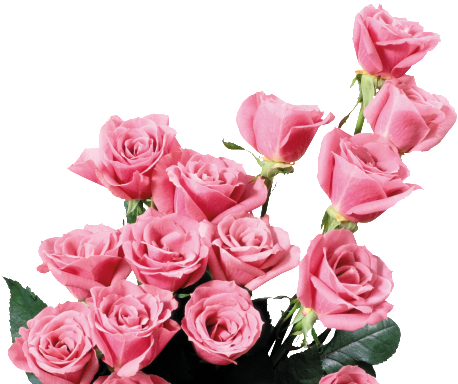 Material De Desenho Animado De Flores De Rosas - Dia De Las Madres Ingenieras (650x433)