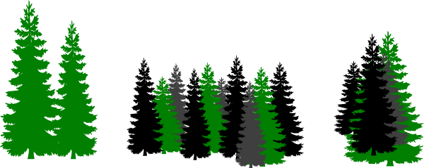 Pine Tree Silhouette (600x239)