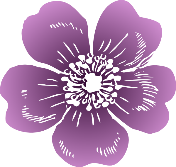 Wild Rose Clip Art At Clker - Clip Art (600x570)