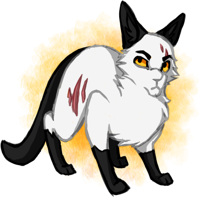 Warrior Cats Challenge - Devon Rex (932x856)