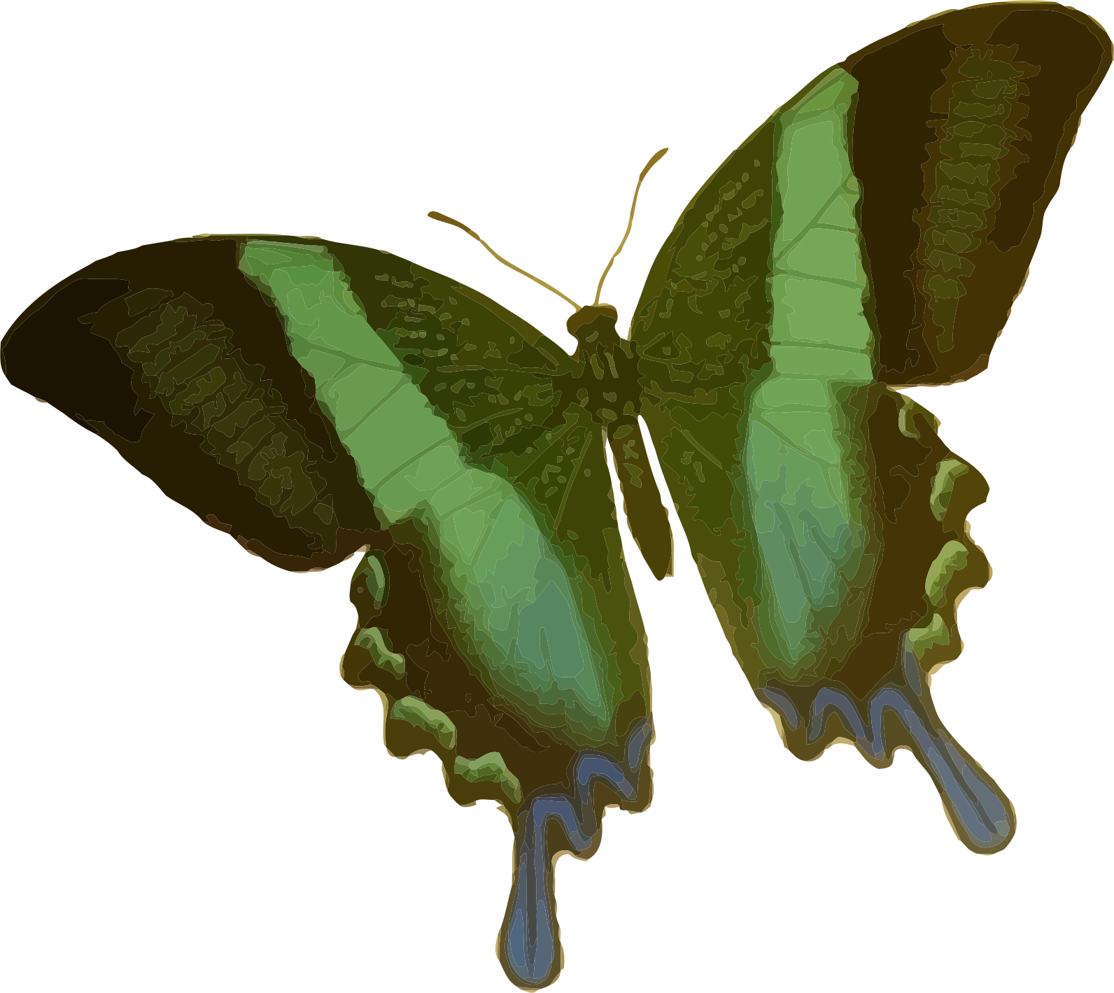 This Free Icons Png Design Of Papilio Blumei - Green Butterfly Shower Curtain (1592x1419)