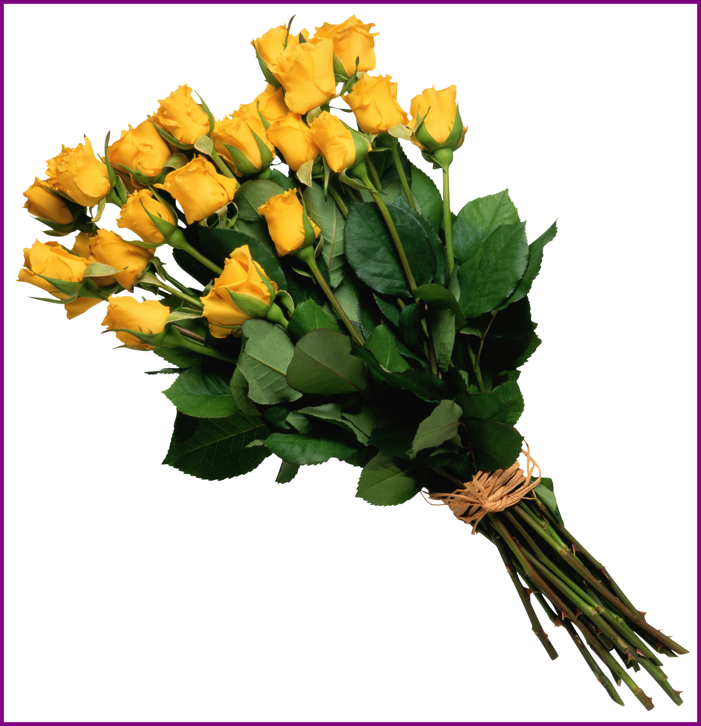 Shocking Yellow Rose Bouquet Png Picture Arreglos Florales - Yellow Rose Bouquet Png (2777x2877)