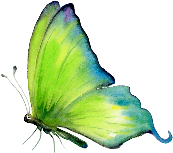 Click And Drag To Re-position The Image, If Desired - Artwall 'skip Green' By Amy Kirkpatrick Painting Print (600x600)