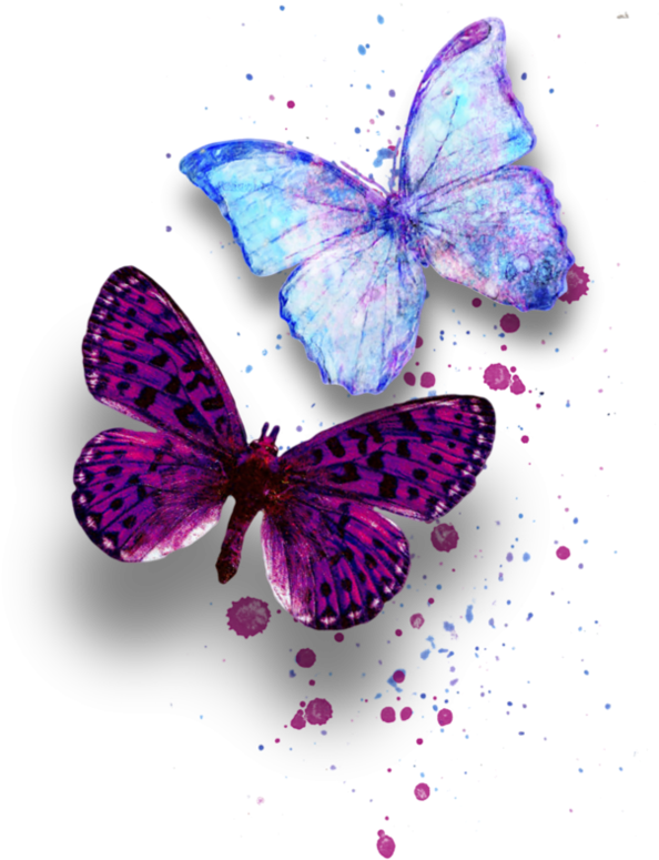 Clipart Butterflies - Sticker (600x788)