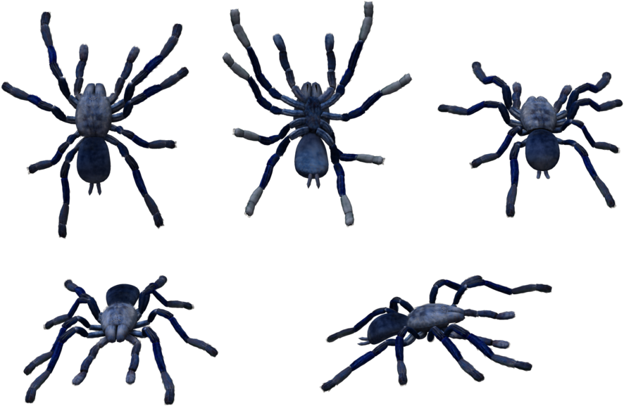 Roaring Twenties Clip Art Clipartsco - Insect (1024x675)