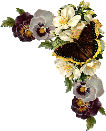 Monarch Butterfly Flower Clip Art - Argus Spring Birthday Card (567x578)