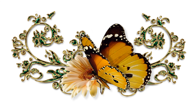 Oddělovače « Galerie - 7 Merveilles Du Monde Actuel (768x576)