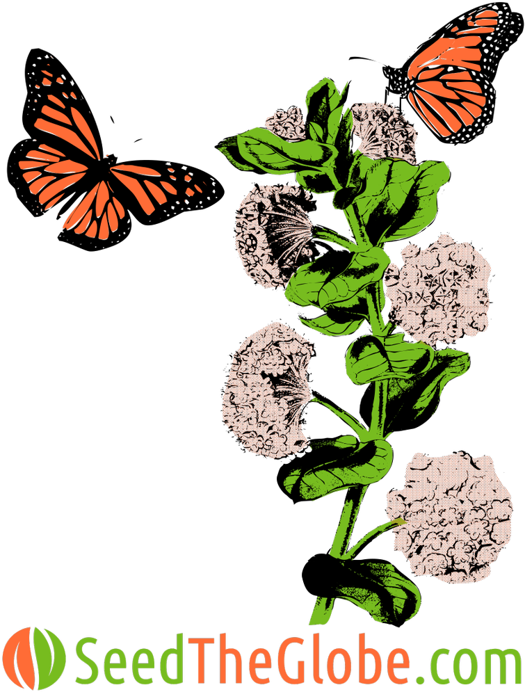 0 Replies 0 Retweets 0 Likes - Butterfly (927x1200)