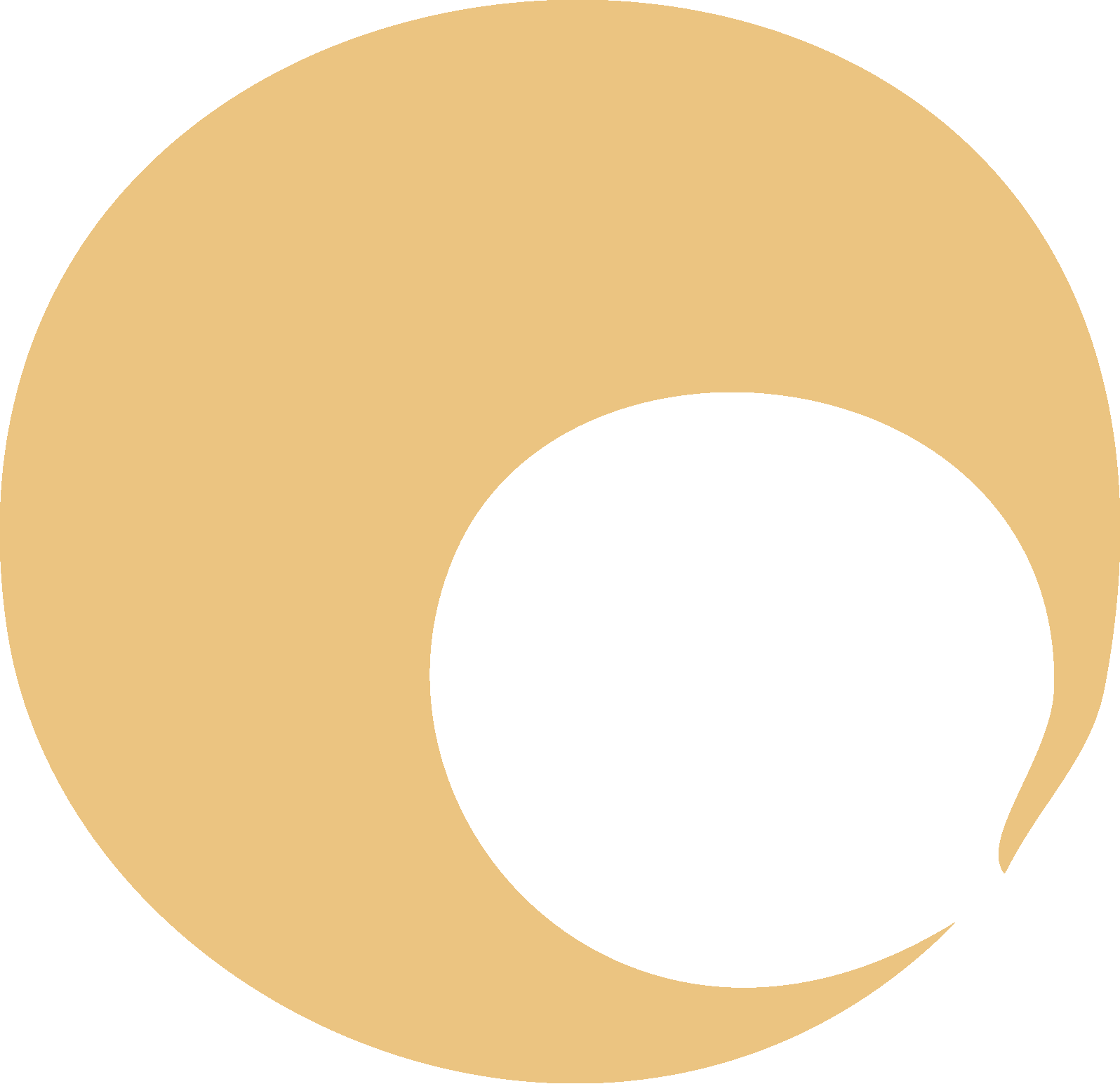 Portrait Of A Man (1596x1544)